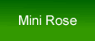 mini rose illuminated flower